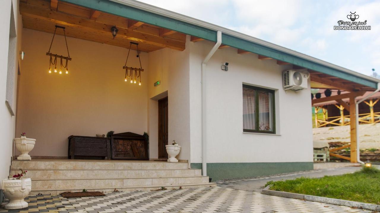 Hotel Domeniul Bondarelului Ocolisu Mic Exteriér fotografie