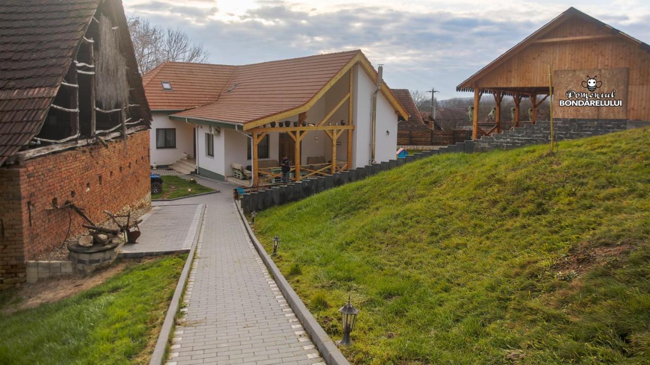 Hotel Domeniul Bondarelului Ocolisu Mic Exteriér fotografie