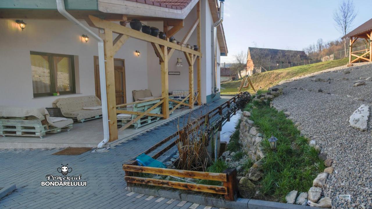 Hotel Domeniul Bondarelului Ocolisu Mic Exteriér fotografie