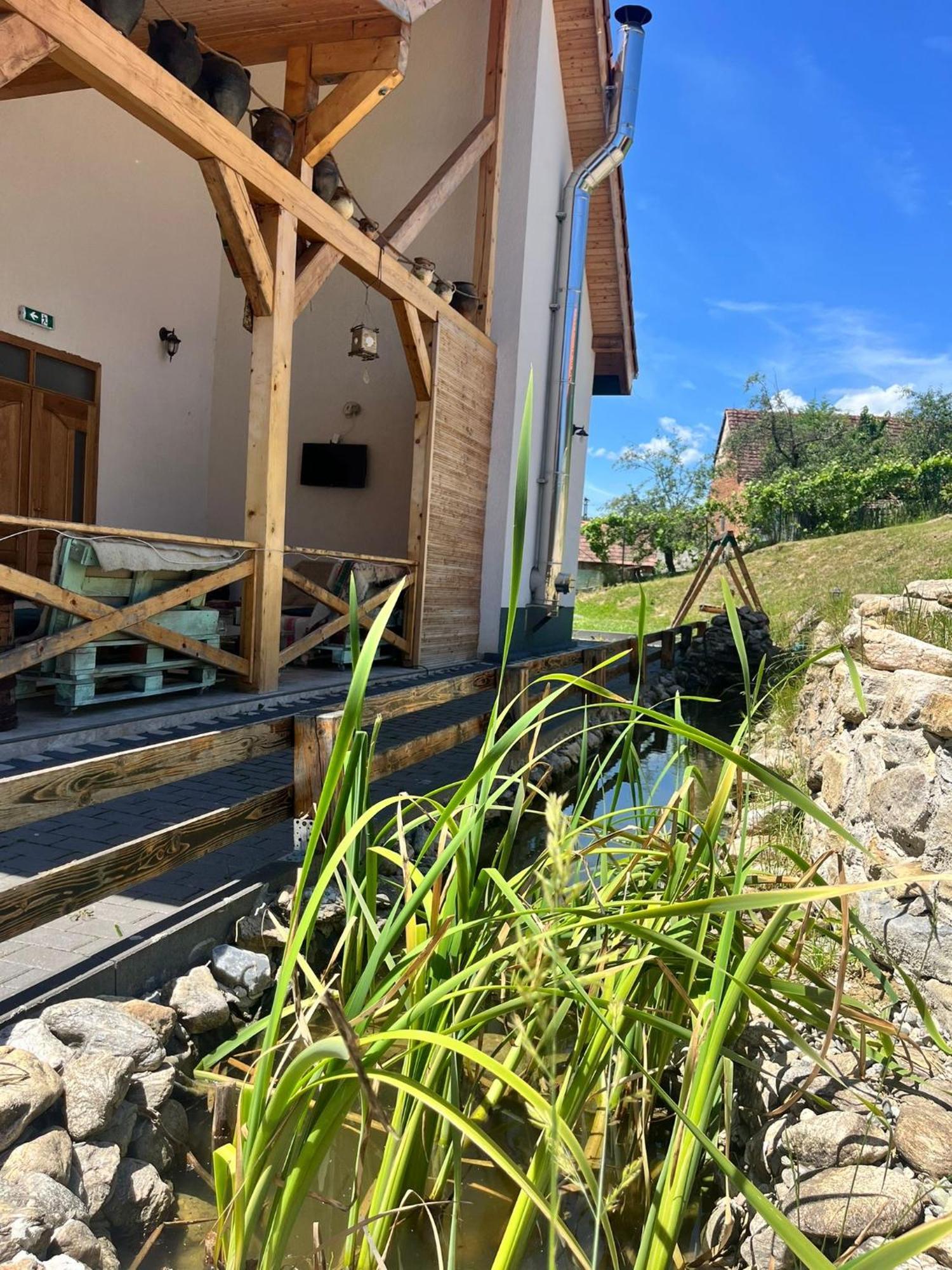 Hotel Domeniul Bondarelului Ocolisu Mic Exteriér fotografie